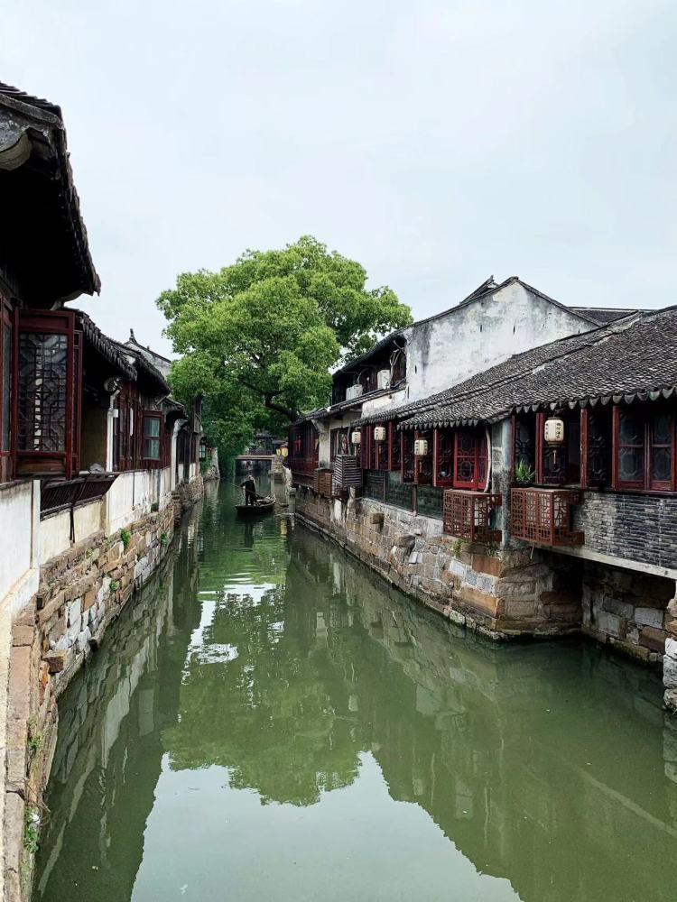 小狗救援行动选关版